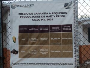 Critican falta de apertura de centros de acopio para frijol yorimuni en Sinaloa