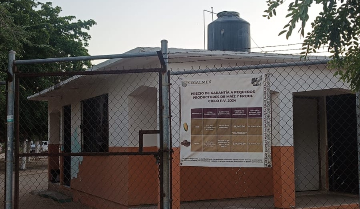 Critican falta de apertura de centros de acopio para frijol yorimuni en Sinaloa