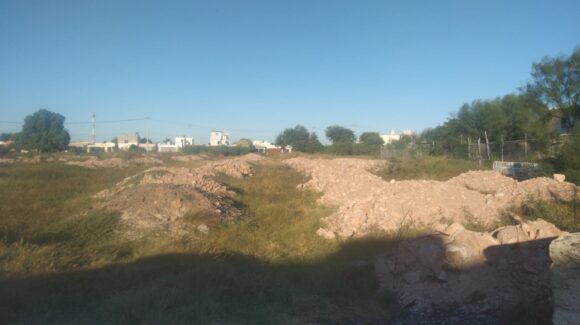 “Estamos llenos de plagas, de moscos, hasta culebras hemos visto”: denuncian vecinos del fraccionamiento Fuentes del Bosque en Los Mochis
