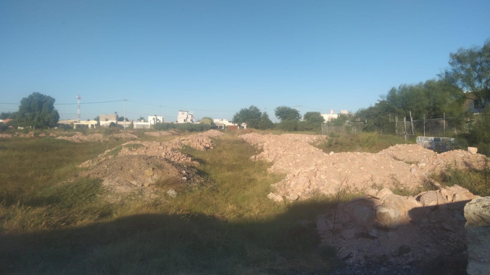 Denuncian plagas en fraccionamiento de Los Mochis