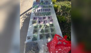 Droga asegurada en Culiacán, Sinaloa