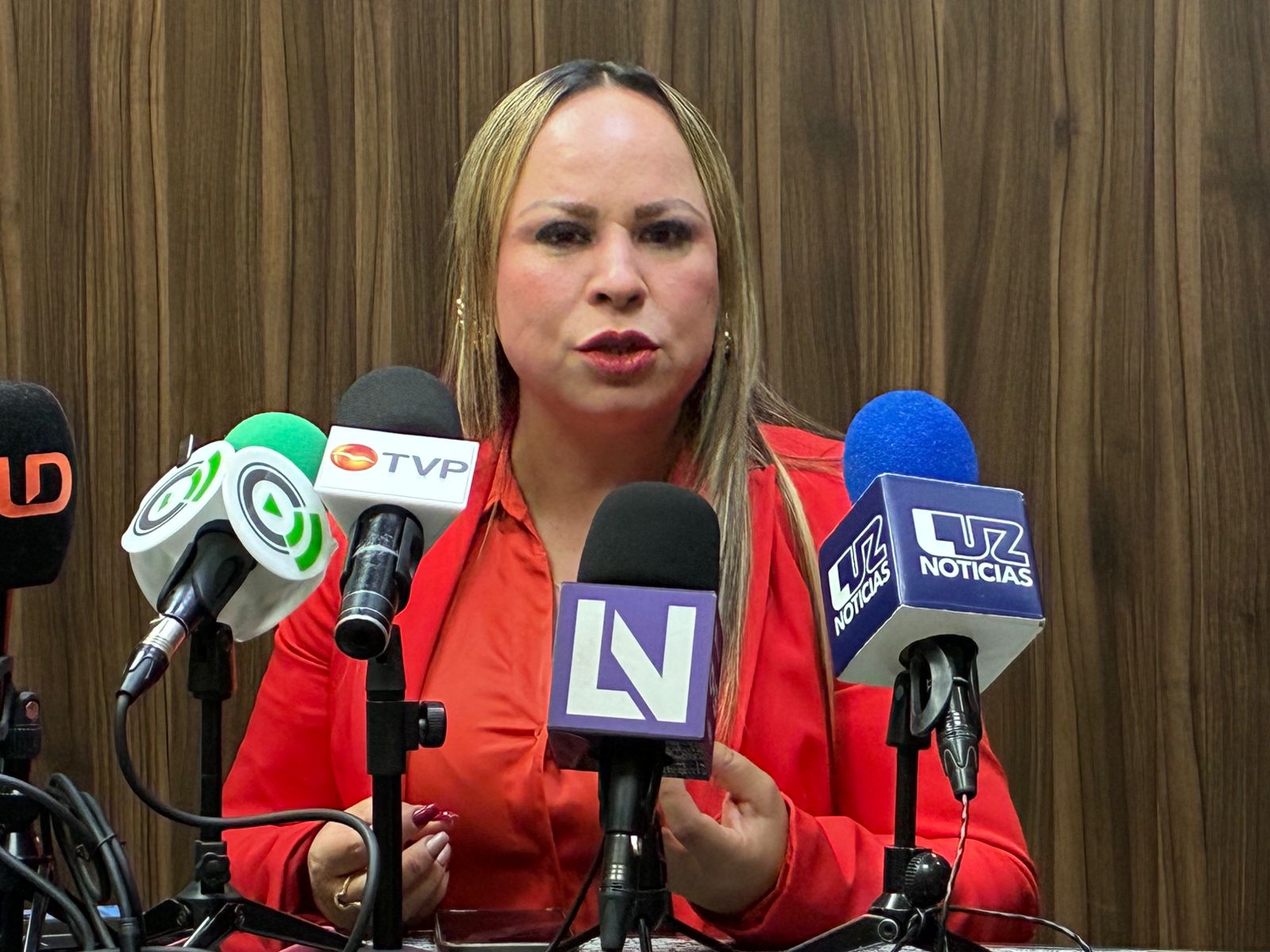 Dulce María Ruiz Castro, presidenta de la Ammje