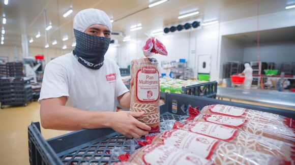 Sinaloa incrementa su población ocupada en el tercer trimestre de 2025: INEGI