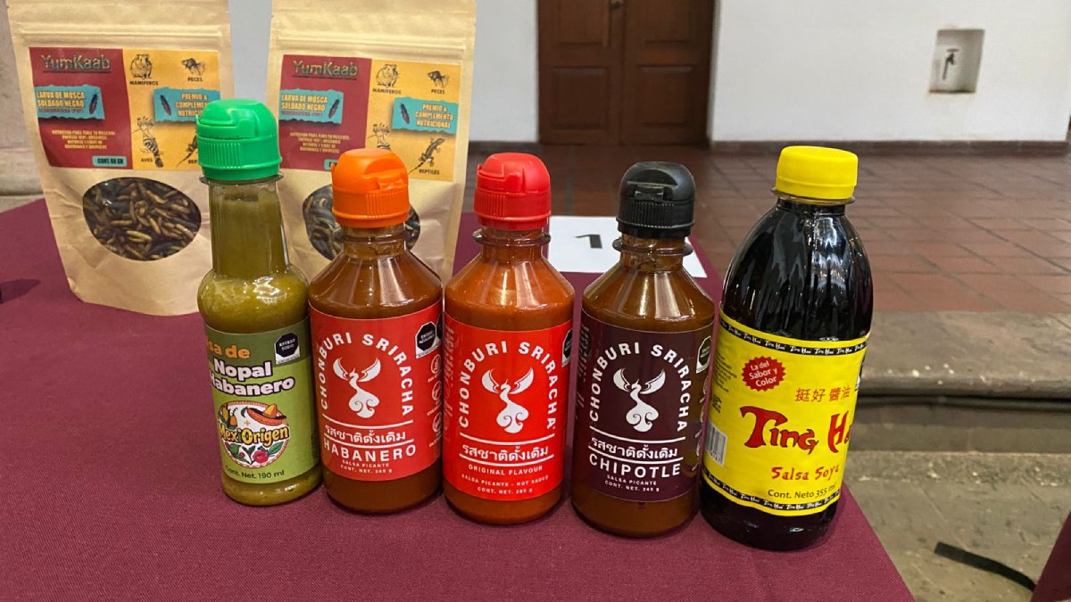 empresas sinaloenses podran vender sus productos en tiendas kiosko salsa