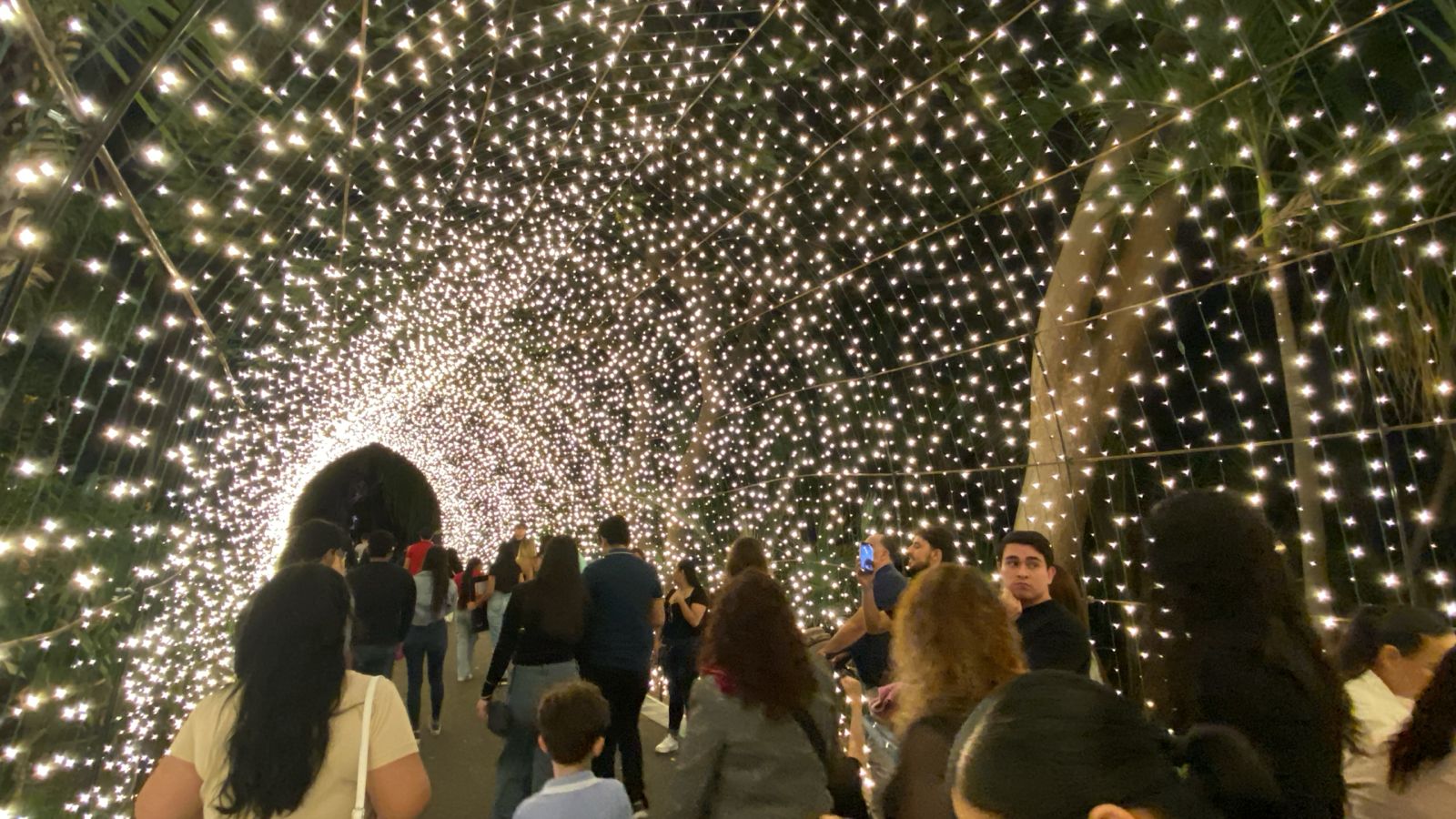 Encendido de luces navideñas en el Jardín Botánico de Culiacán, Sinaloa