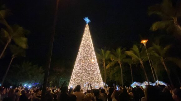 ¡Un jardín de luz! Con encendido del árbol navideño, inicia “Una Navidad en el Botánico” en Culiacán, Sinaloa
