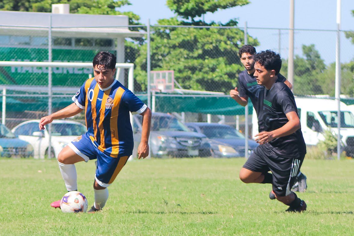 Equipos de la Liga Universitaria de Futbol de Sinaloa