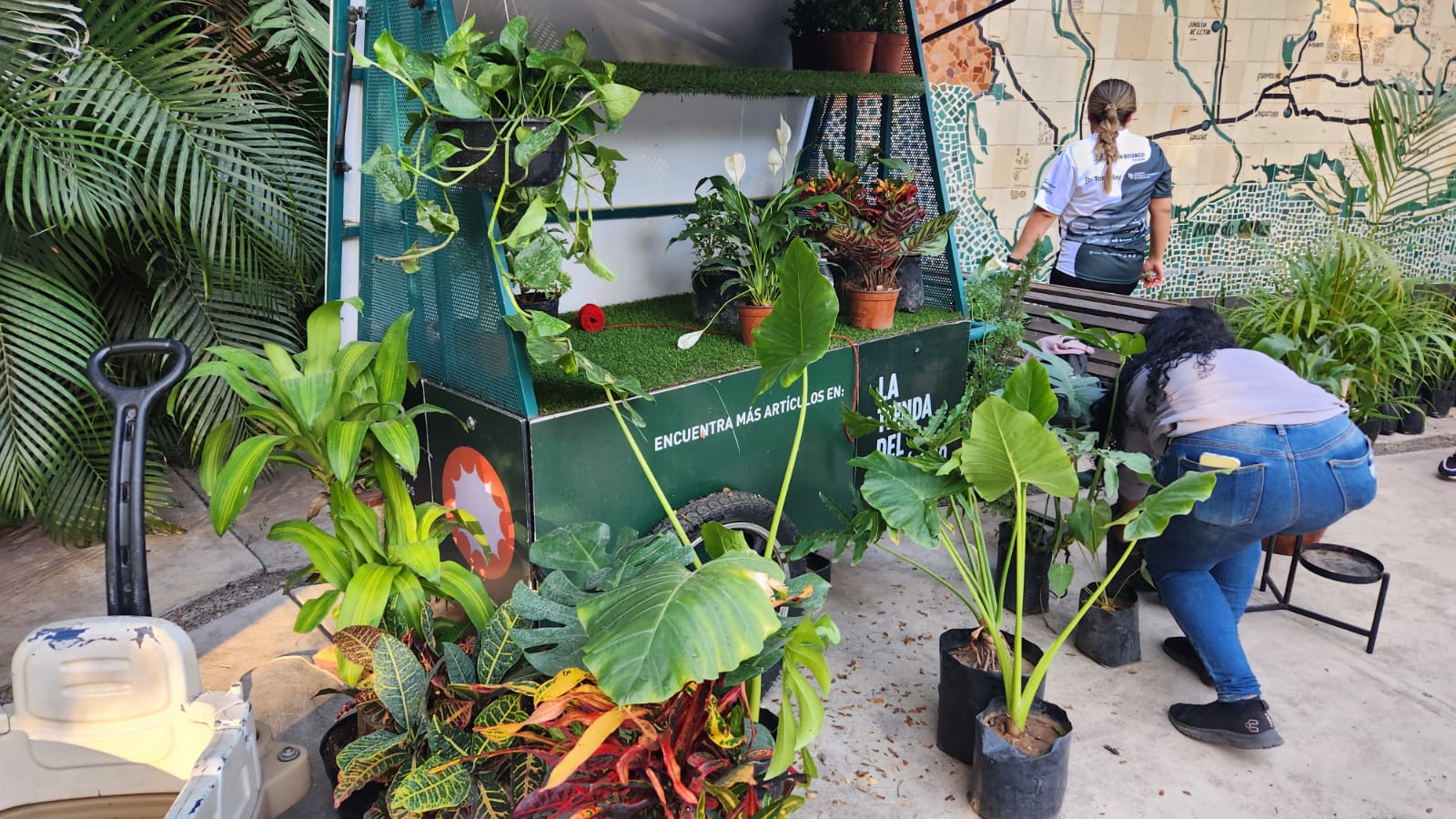Evento deportivo "Corre por el botánico" en Culiacán, Sinaloa