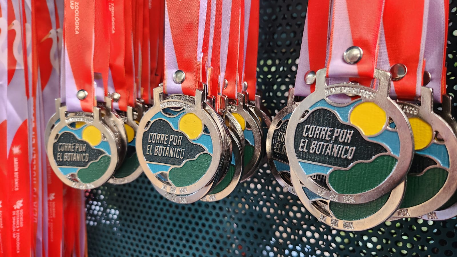 Evento deportivo "Corre por el botánico" en Culiacán, Sinaloa