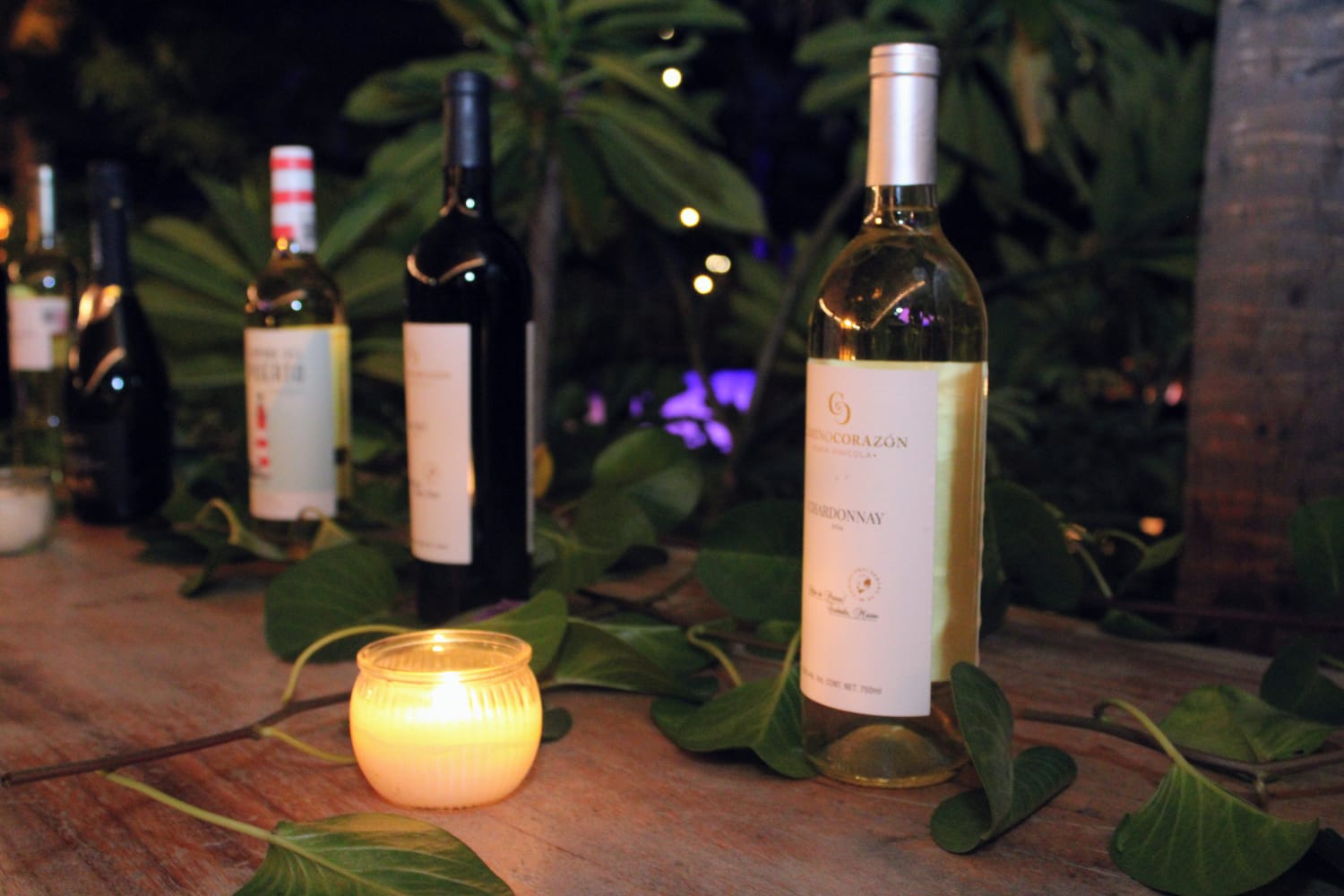 ‘Viñedos y Olas’; Shekinah Beach Club presenta en Mazatlán
