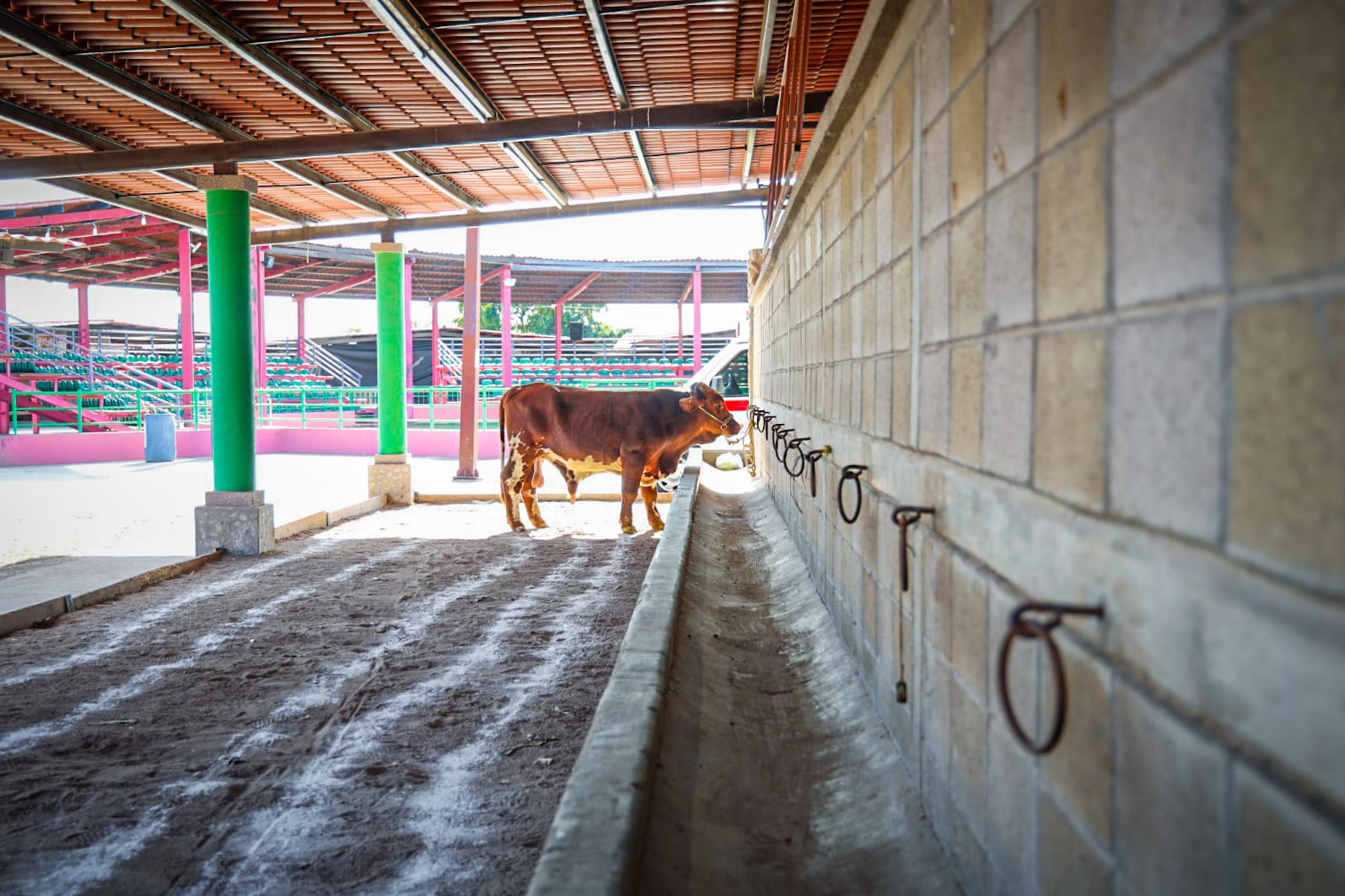 Feria Ganadera Culiacán 2025