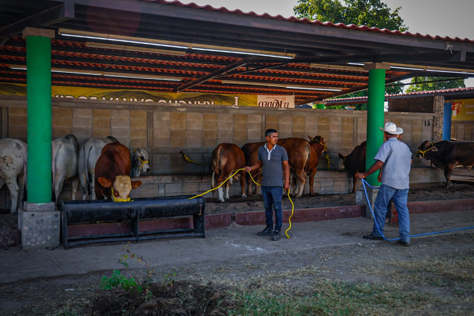 Feria Ganadera Culiacán 2025