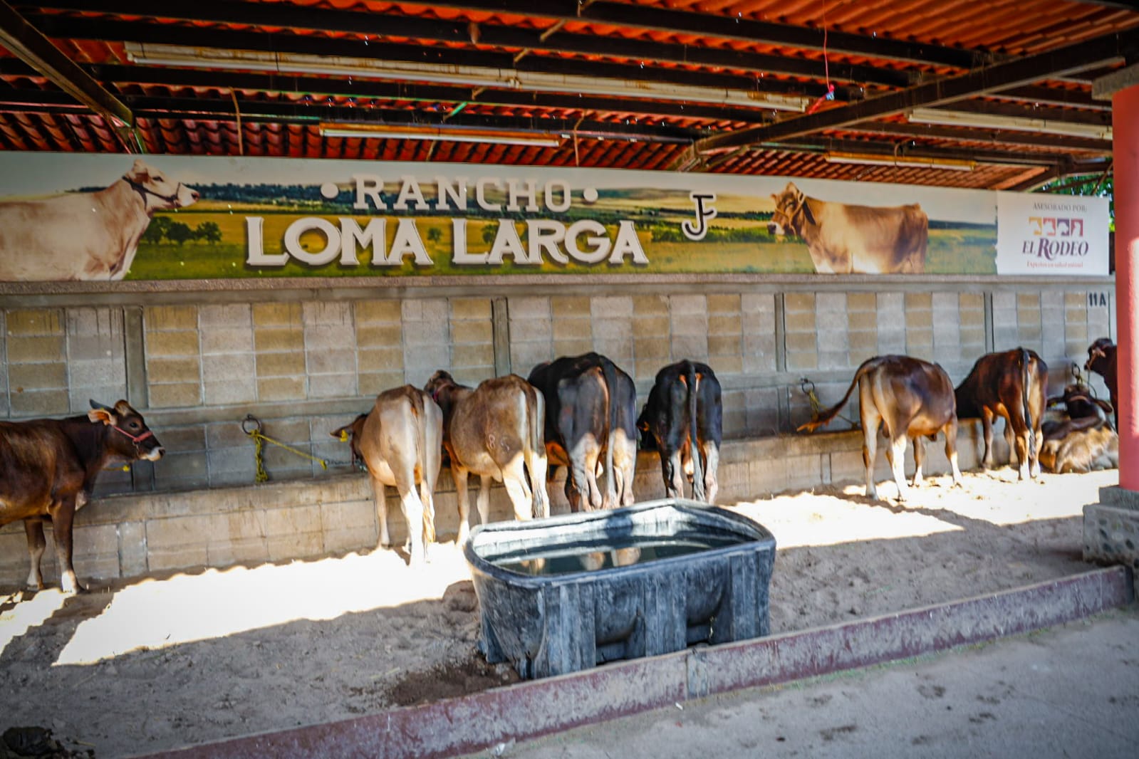 Feria Ganadera Culiacán 2025