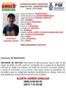 Ficha de búsqueda del menor Luis Ángel Saldaña, en Guasave