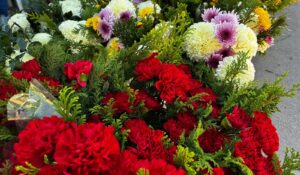 Sin definir precios de las flores en Ahome para este Día de Muertos, buscará Inspección y Normatividad reunión con vendedores