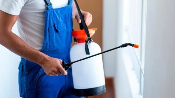 Guía práctica: Lo que debes hacer antes, durante y después de la fumigación de tu casa