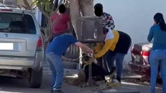 VIDEO: Graban maltrato a perrito en Villa Bonita, Culiacán, supuestamente por haber mordido a un niño