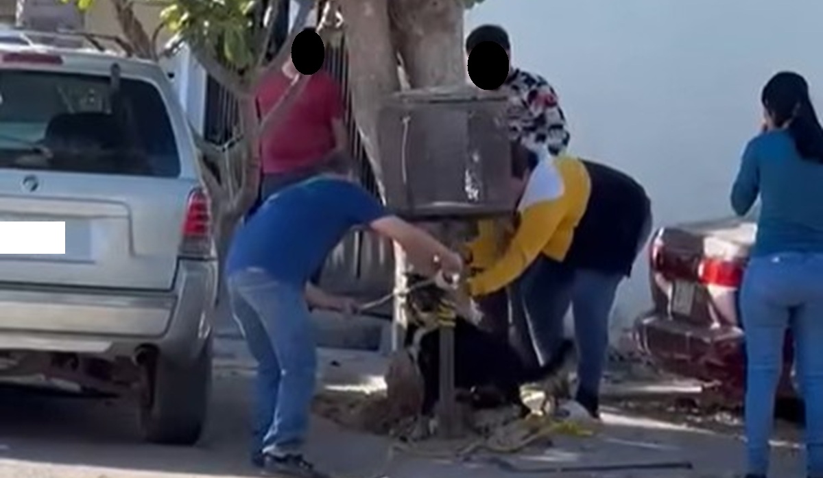 Graban maltrato a perrito en Villa Bonita, Culiacán
