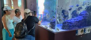 Gran Acuario Mazatlán