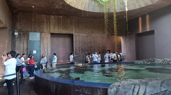 Gran Acuario de Mazatlán, Sinaloa, el gigante marino que redefine el turismo y la conservación en Latinoamérica
