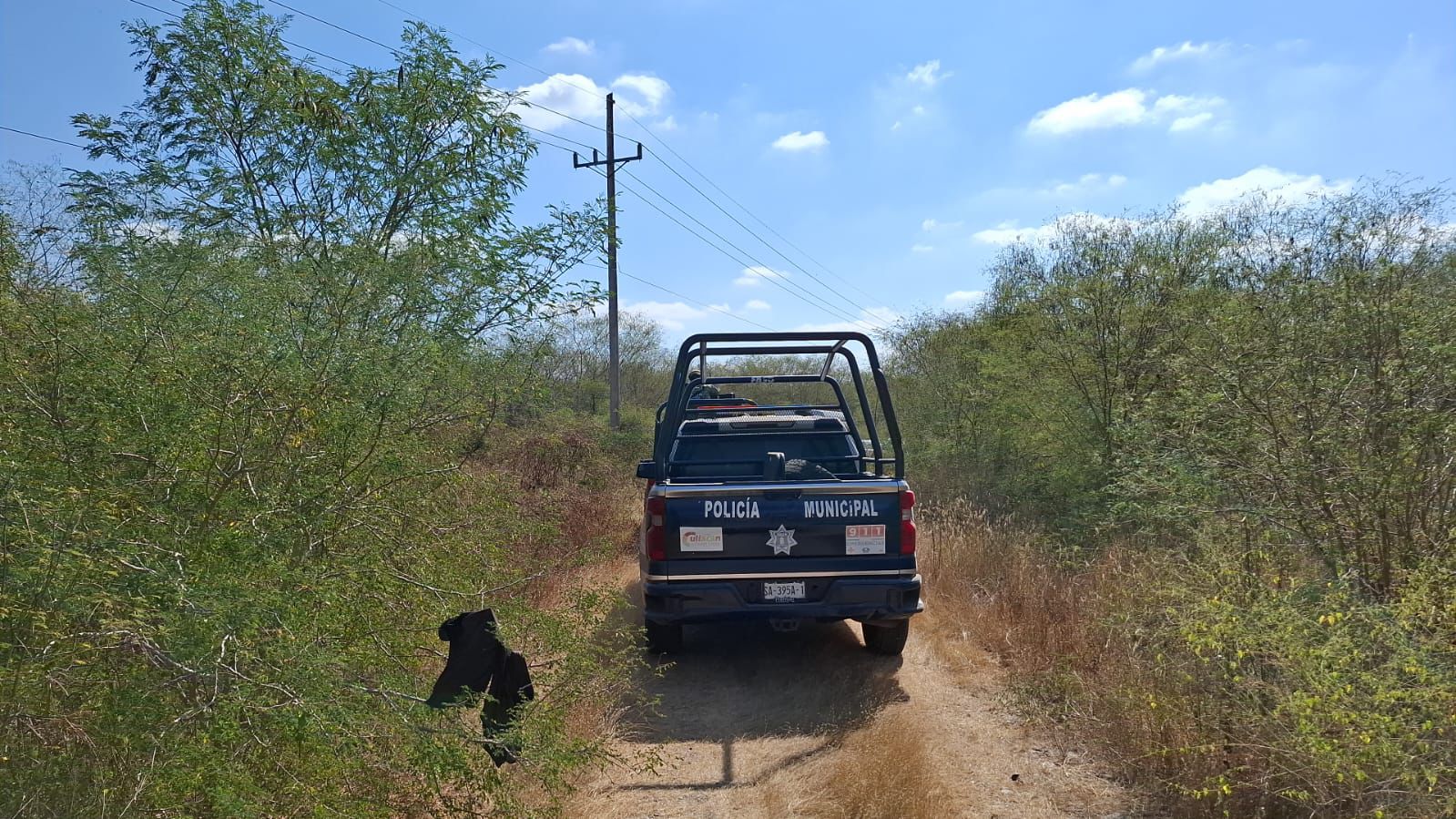 Hallan restos óseos en La Primavera, Culiacán
