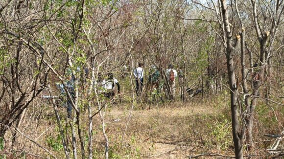 Localizan osamenta de una persona en camino al dique de La Primavera al sur de Culiacán, Sinaloa