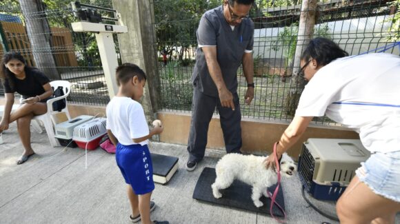 Reafirma Mazatlán, Sinaloa, su compromiso con el bienestar animal en la décima jornada ‘Huellitas del Bienestar’