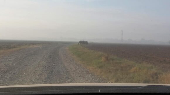 Densa capa de humo en Guasave, Sinaloa, es consecuencia de quemas advierte Protección Civil
