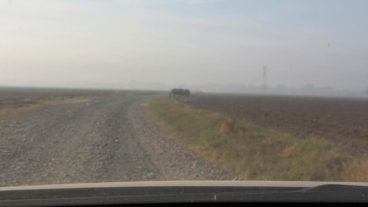 humo por quema de basura y soca en Guasave