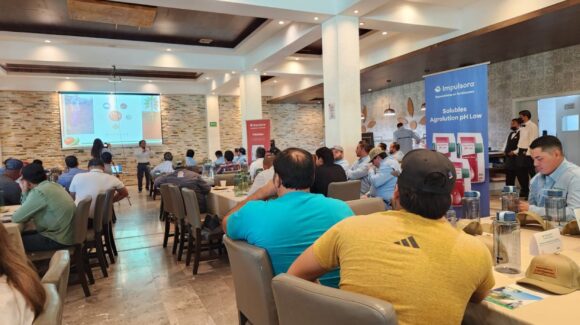 Impulsora refuerza presencia en la horticultura; brinda acompañamiento “de la siembra a la cosecha” en Sinaloa