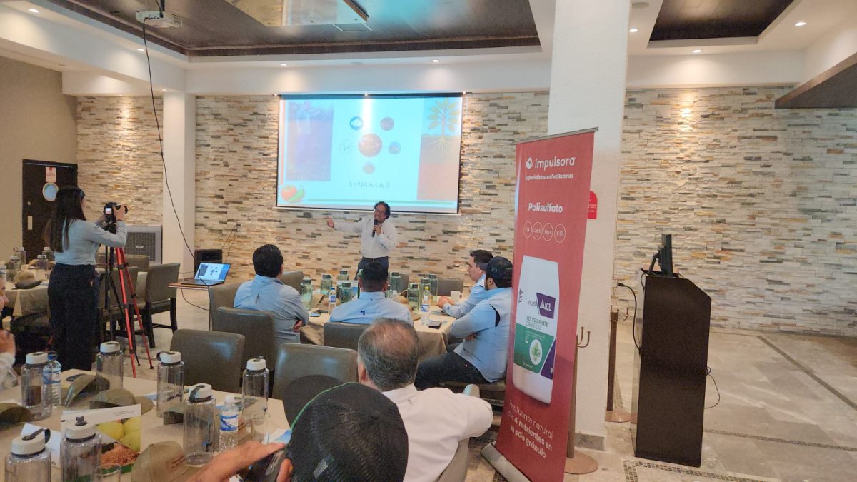 impulsora refuerza presencia en la horticultura en sinaloa lugar