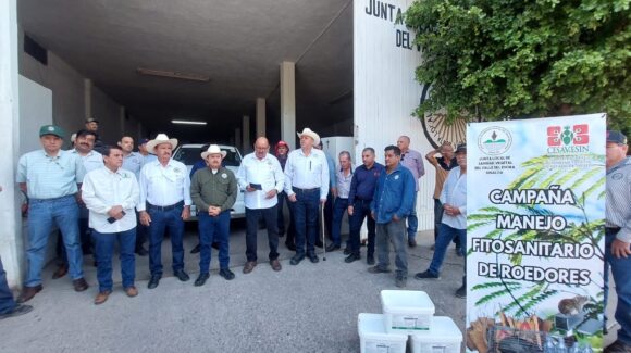 Inicia campaña fitosanitaria contra la rata de campo en la región del Évora; 2.6 mdp se invertirán