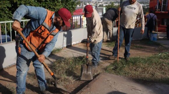Encabeza Estrella Palacios la 13 jornada simultánea del programa “Mazatlán te Quiero Limpio”