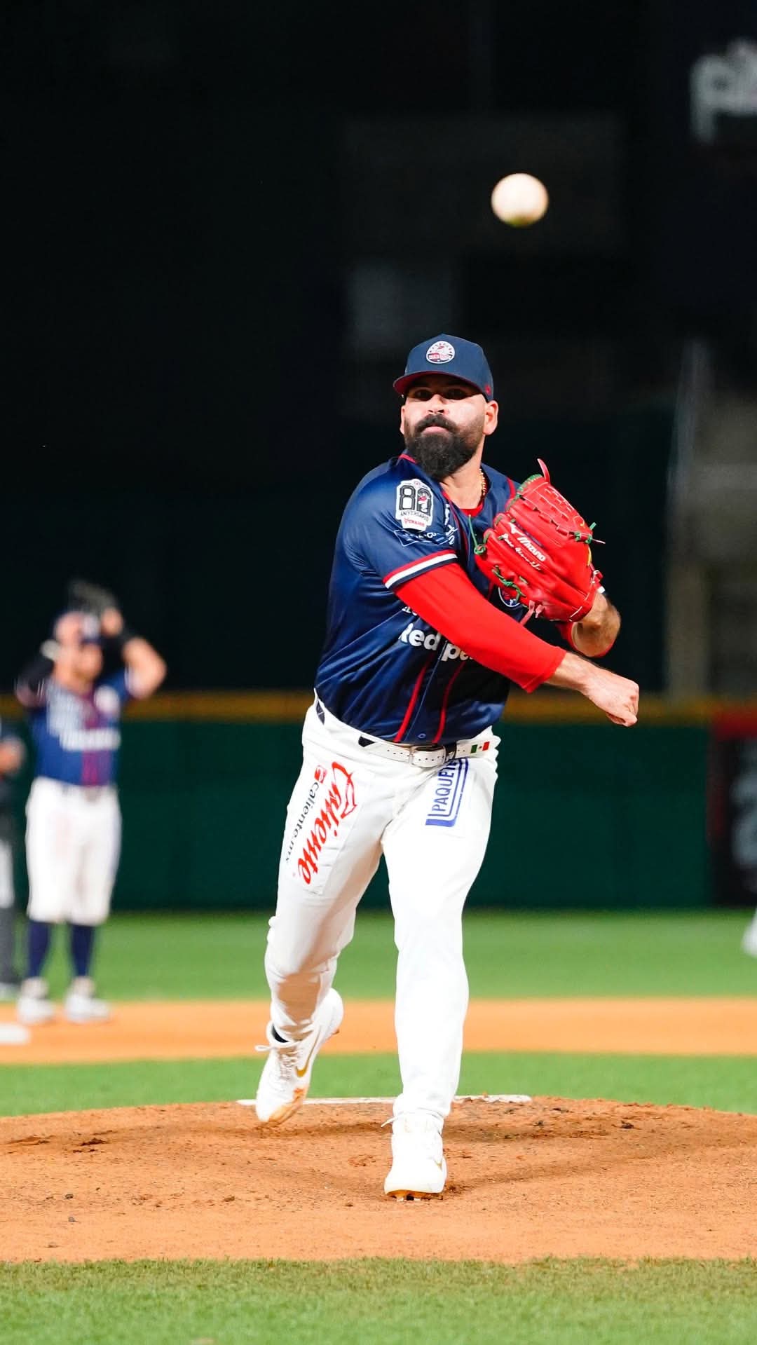 liga mexicana del pacifico