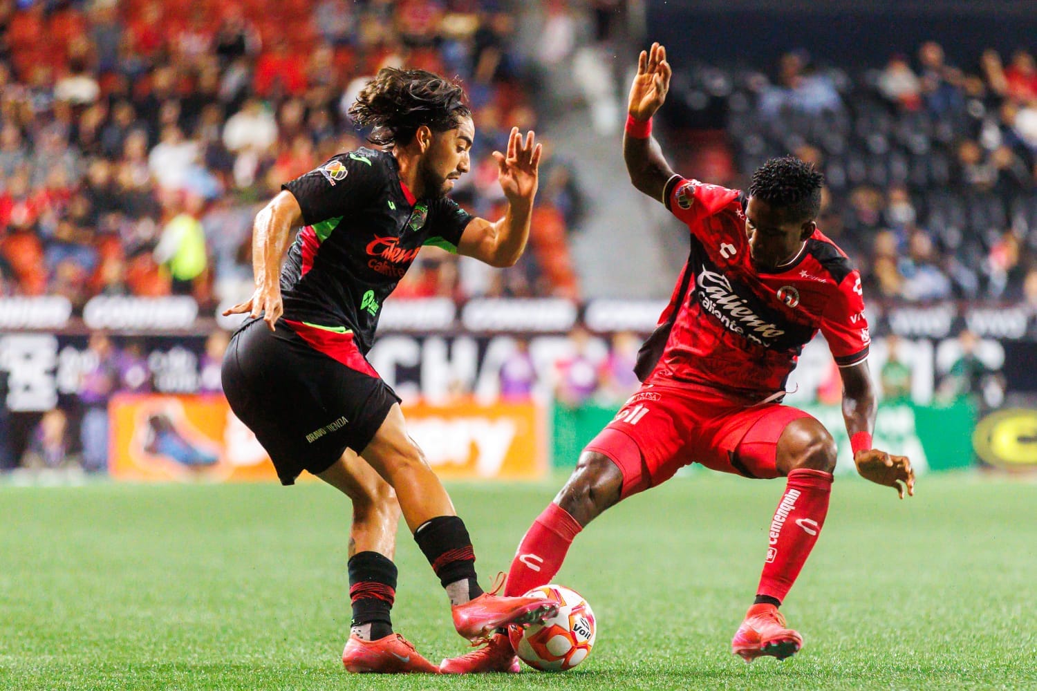 Liga MX