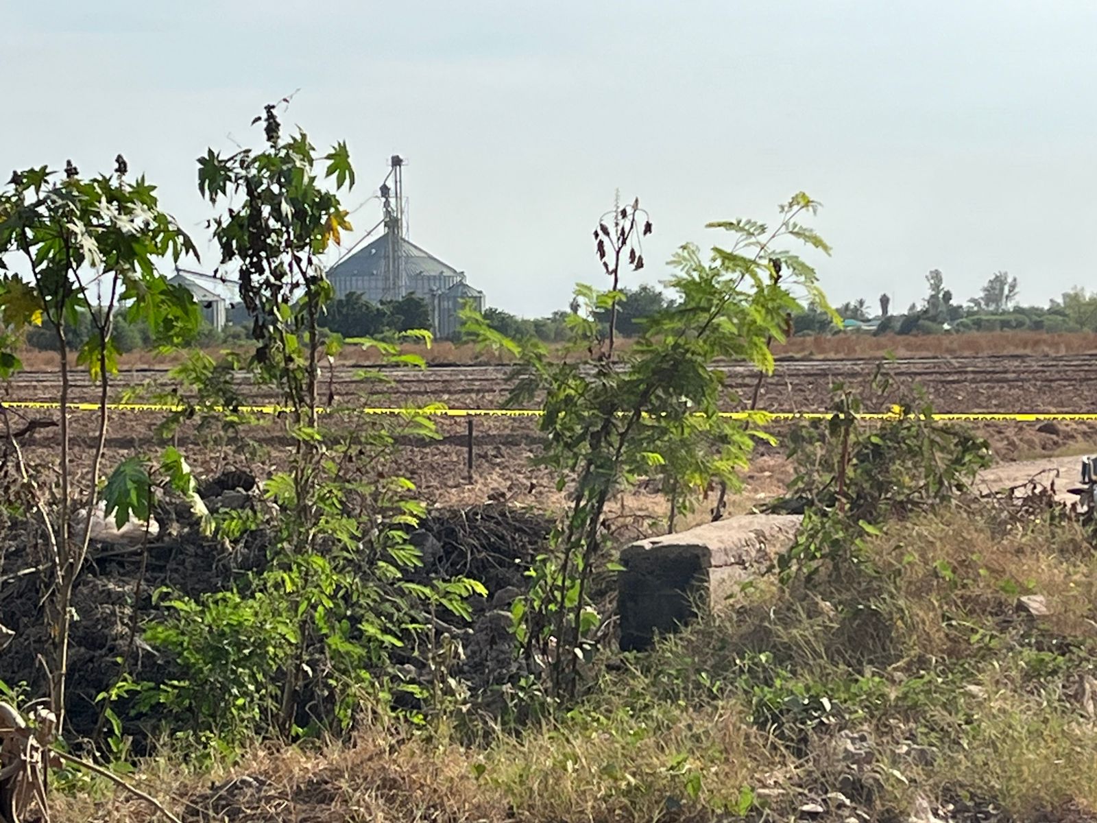 Predio agrícola donde se localizo un cuerpo en descomposición