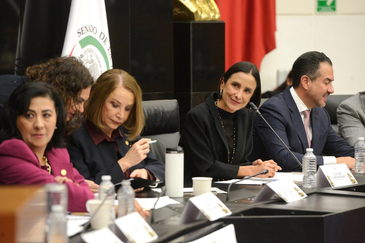 Luz Elena González en comparecencia ante el Senado