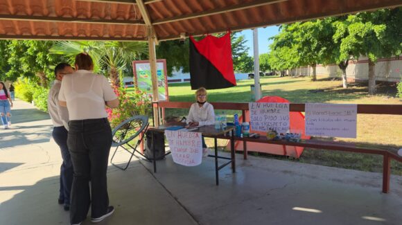 Maestra de la UAdeO Culiacán, Sinaloa inicia huelga de hambre, exige una recategorización en su contrato