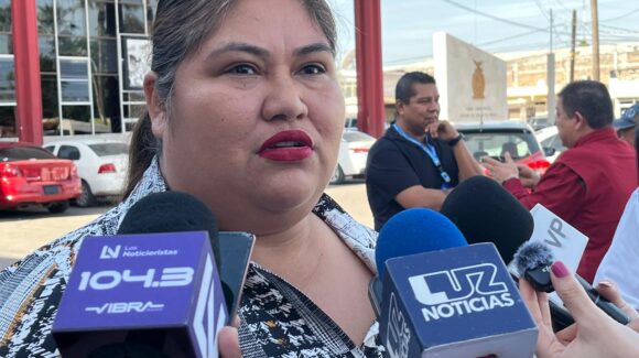 ¡Cría cuervos! Abuelas y madres, víctimas de agresiones de sus hijos y nietos en Ahome, Sinaloa: Semujeres