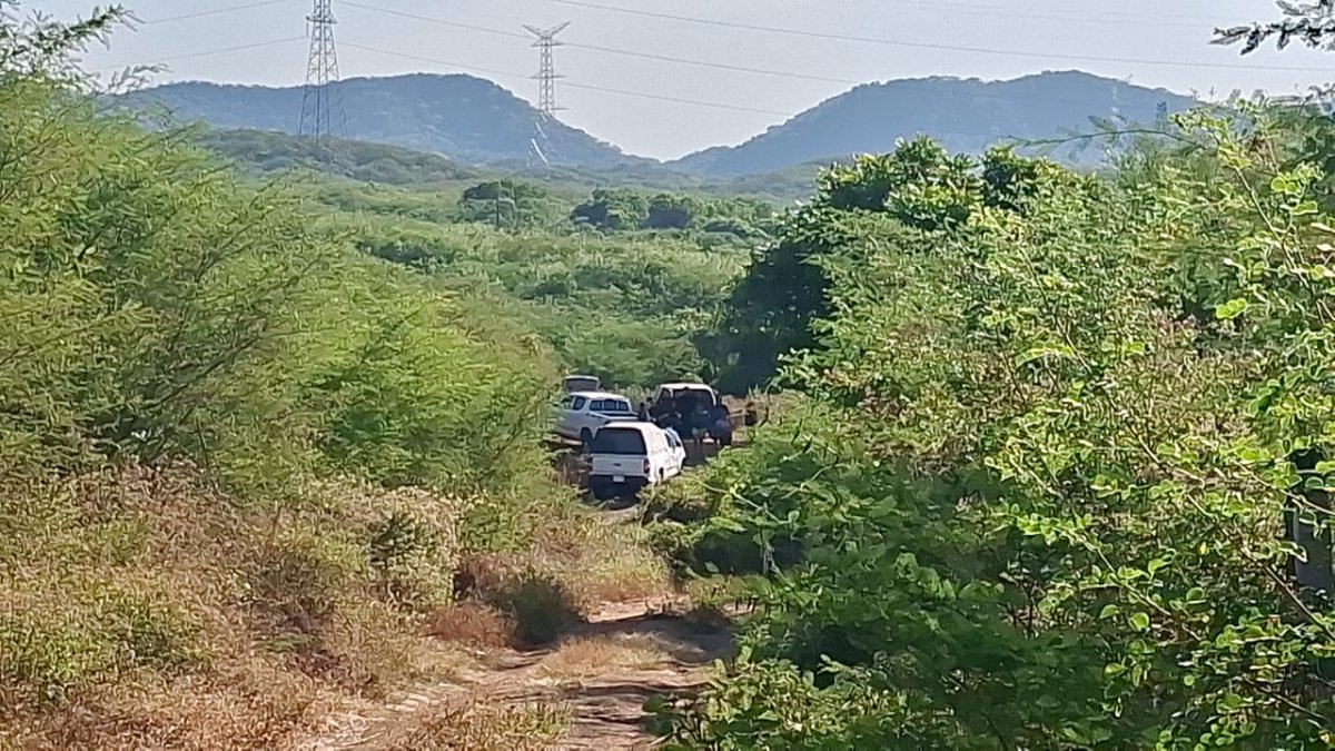 Hallan asesinada a balazos a una mujer