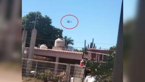 Operativo en la Brecha, Guasave