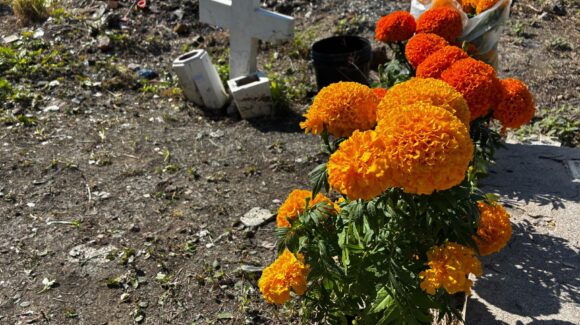 Memoria y tradición: así vivieron en Mazatlán, Sinaloa, el Día de Muertos en el panteón municipal número 3