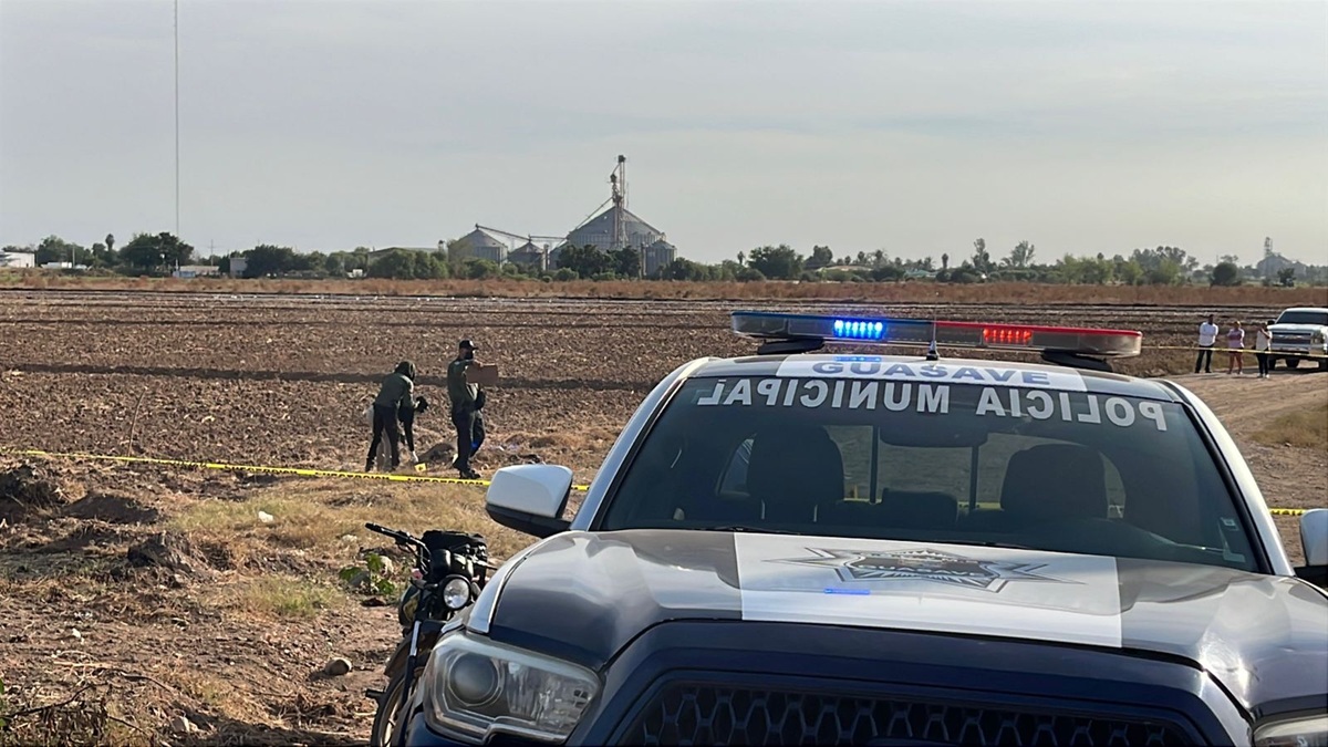 Identifican a hombre localizado en descomposición en tierras de cultivo en Guasave