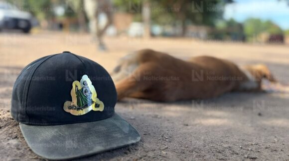 Se llamaba “Mango” el perrito asesinado a balazos en Aguaruto, Culiacán, por defender la vida de un hombre que no era su familia