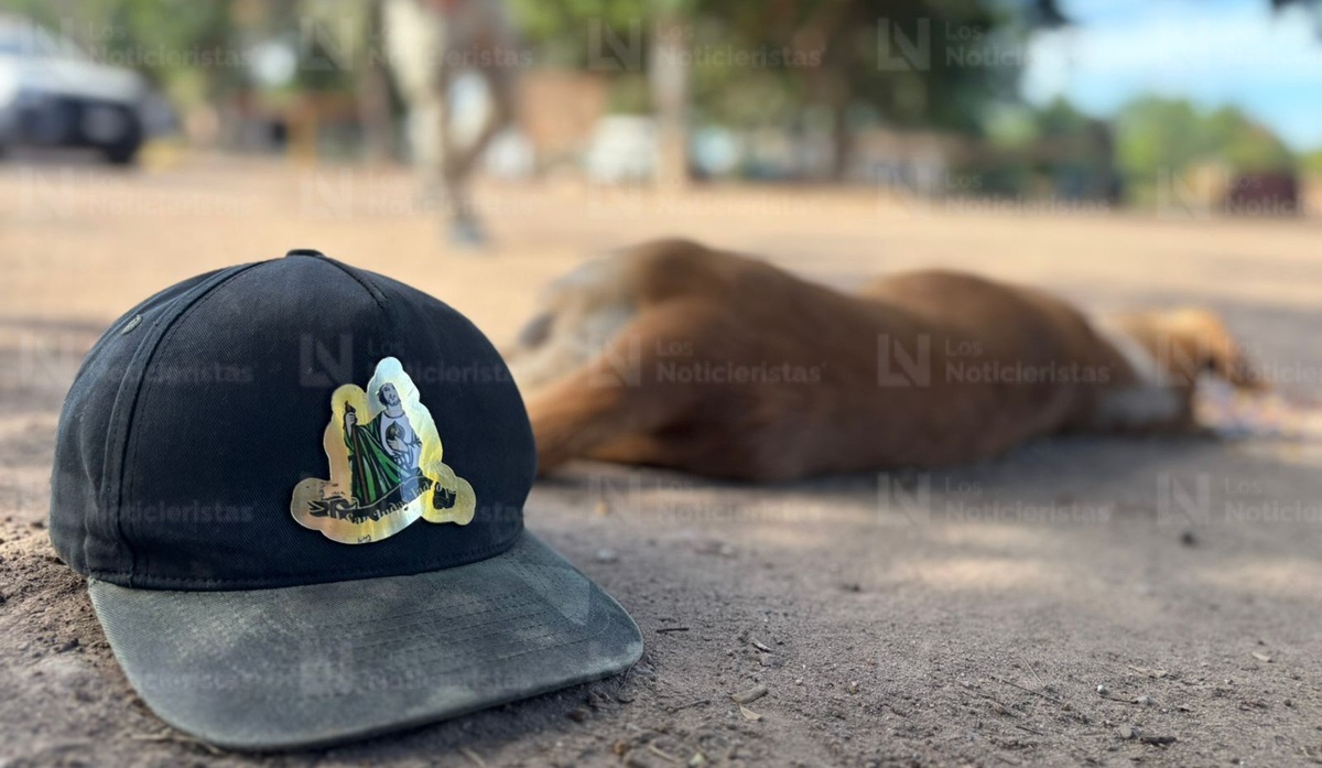 Perrito muere al intentar defender a hombre en ataque a balazos en Aguaruto, en Culiacán