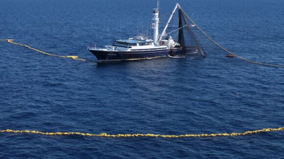 Este noviembre inicia la pesca de siete especies y la veda de dos más informa Conapesca