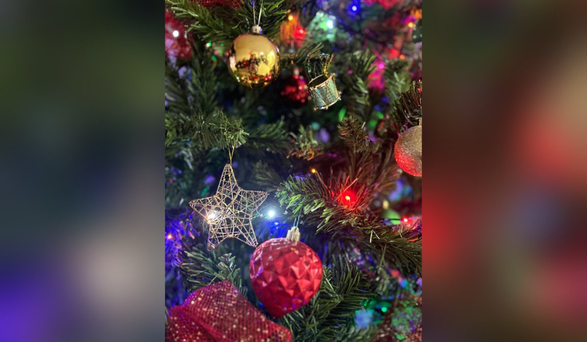 Pino de Navidad