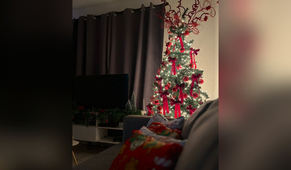 Pino de Navidad