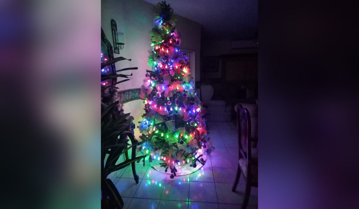 Pino de Navidad