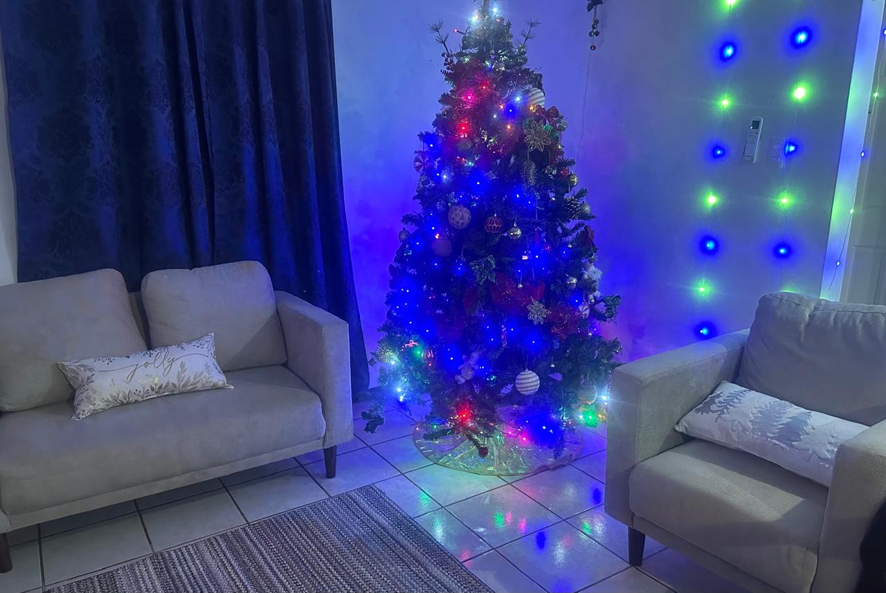 Pino de Navidad